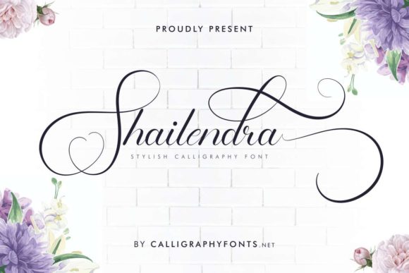 Shailendra: A Handwritten Font for Clear Campaigns