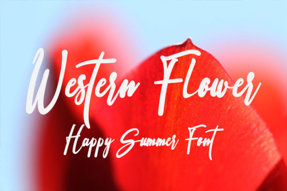 Western Flower: A Designer’s Honest Review